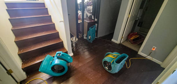 Best Emergency water extraction  in San Antonio, TX
