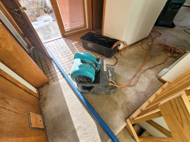 Best Residential water damage restoration  in San Antonio, TX