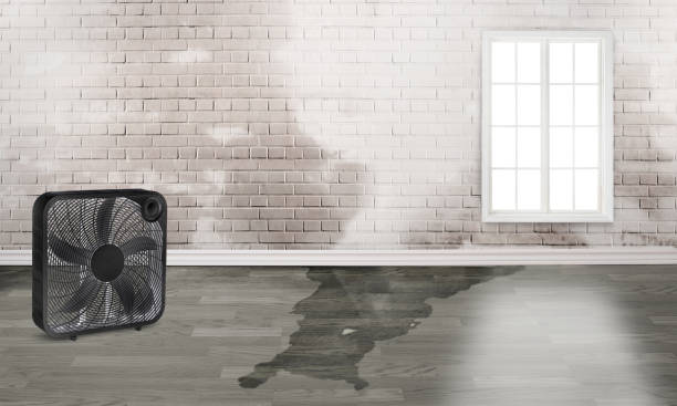 Best Fire Damage Restoration  in San Antonio, TX