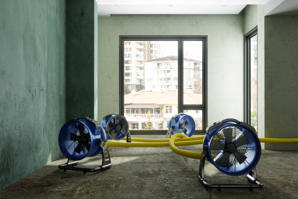 Best Emergency water damage restoration  in San Antonio, TX